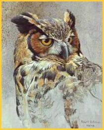 Picture of Great Horned Owl